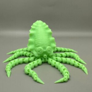 Squid