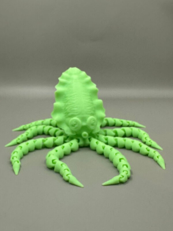 Squid