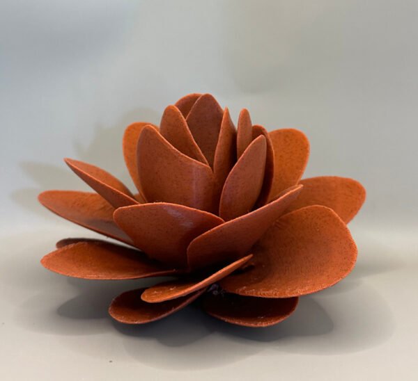 Sea Flower