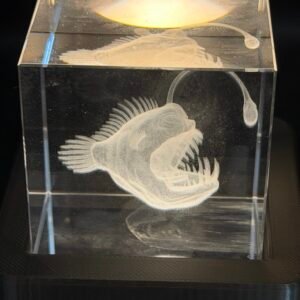 Crystal Anglerfish with free light base