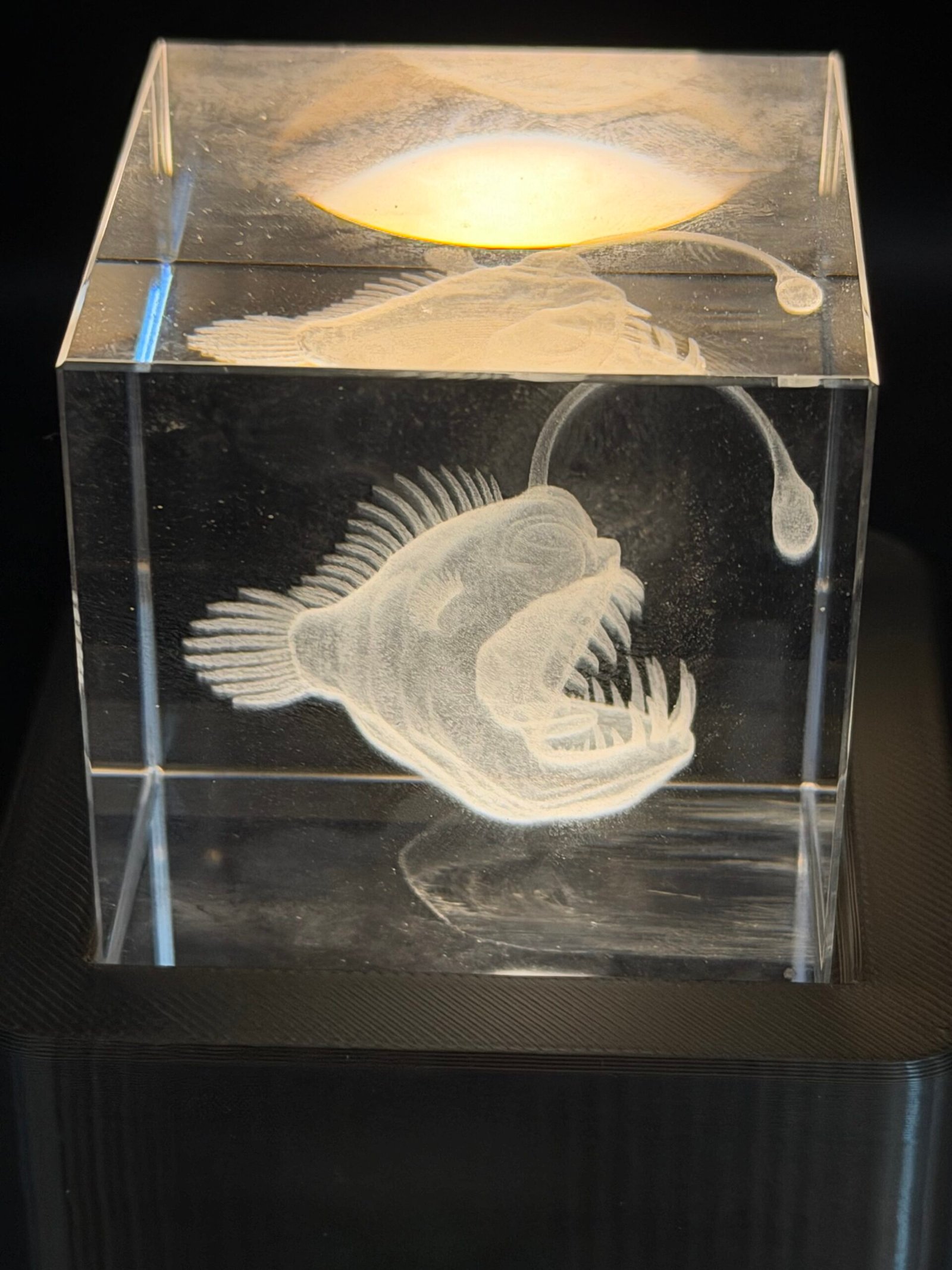 Crystal Anglerfish with free light base
