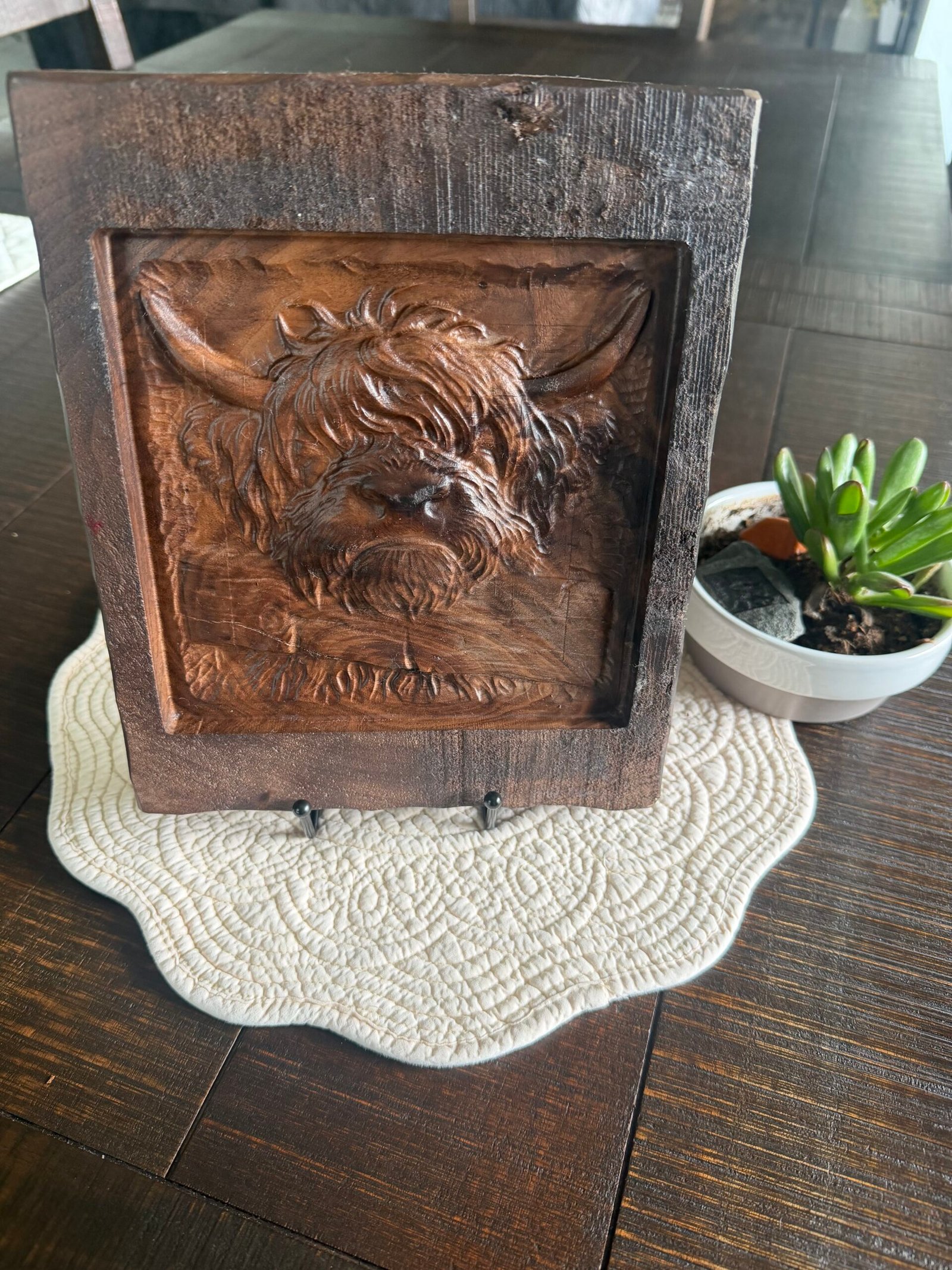 Highland Cow