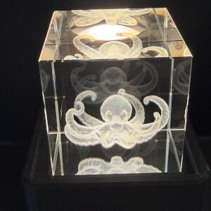 Octopus Crystal
