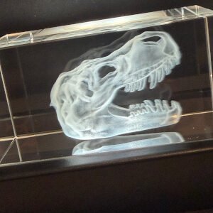 T-rex skull Crystal